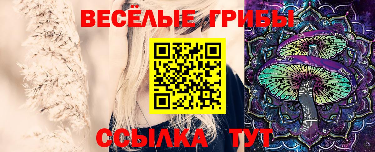 Партизанск  Псилоцибиновые грибы прущие грибы  Галлюциногенные грибы Psilocybe  Вход с VPN 